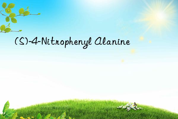 (S)-4-Nitrophenyl Alanine