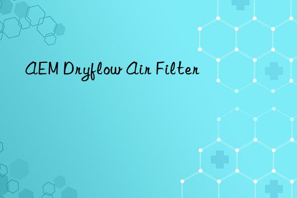 AEM Dryflow Air Filter