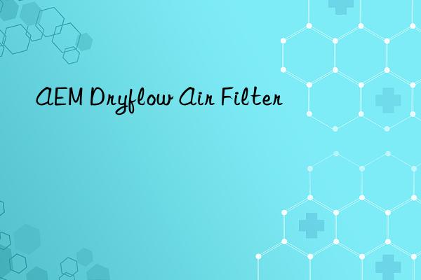 aem dryflow air filter