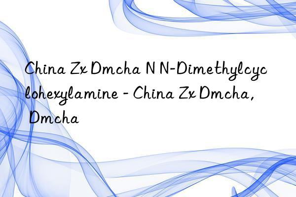 China Zx Dmcha N N-Dimethylcyclohexylamine - China Zx Dmcha, Dmcha