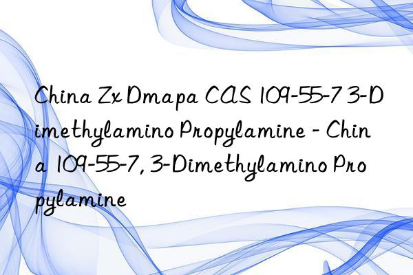 China Zx Dmapa CAS 109-55-7 3-Dimethylamino Propylamine - China 109-55-7, 3-Dimethylamino Propylamine