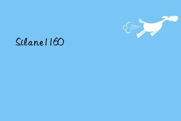 silane1160