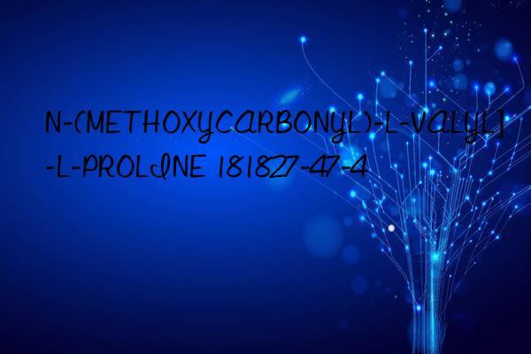 N-(METHOXYCARBONYL)-L-VALYL]-L-PROLINE 181827-47-4