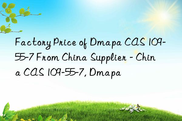 Factory Price of Dmapa CAS 109-55-7 From China Supplier - China CAS 109-55-7, Dmapa