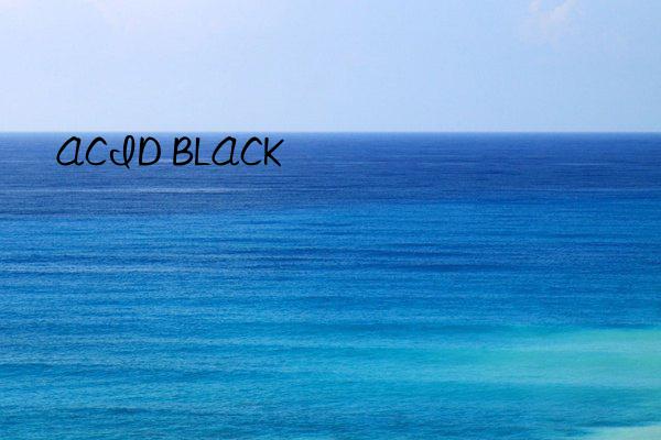 ACID BLACK