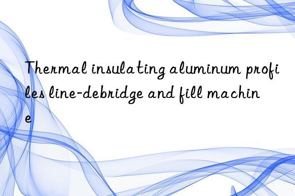 Thermal insulating aluminum profiles line-debridge and fill machine