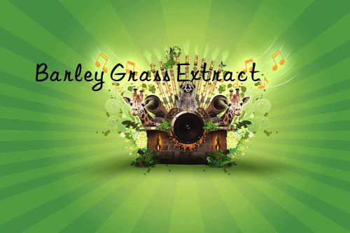 barley grass extract