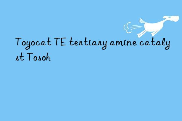 toyocat te tertiary amine catalyst