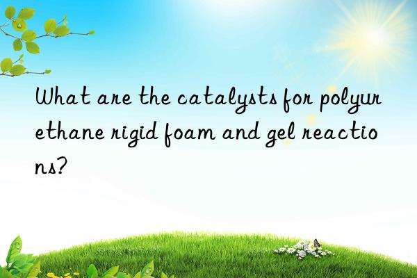 What are the catalysts for polyurethane rigid foam and gel reactions?