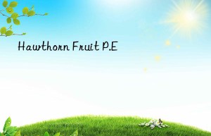 Hawthorn Fruit P.E