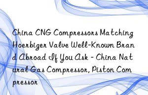 China CNG Compressors Matching Hoerbiger Valve Well-Known Brand Abroad If You Ask – China Natural Gas Compressor, Piston Compressor