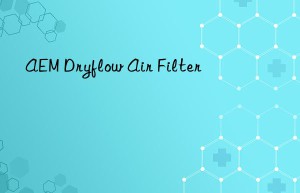aem dryflow air filter