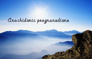 Arachidonic pregnanedione
