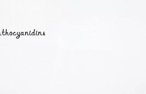 anthocyanidins