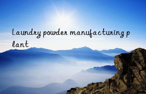 Laundry powder manufacturing plant
