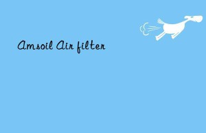 amsoil air filter