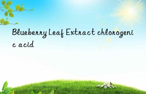 blueberry leaf extract chlorogenic acid