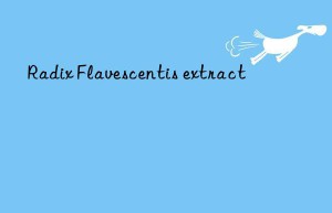 Radix Flavescentis extract