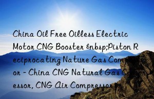 China Oil Free Oilless Electric Motor CNG Booster  Piston Reciprocating Nature Gas Compressor – China CNG Natural Gas Compressor, CNG Air Compressor