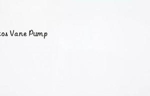 atos vane pump