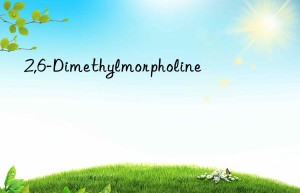 2,6-dimethylmorpholine