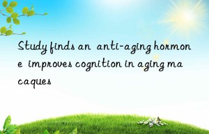 Study finds an  anti-aging hormone  improves cognition in aging macaques