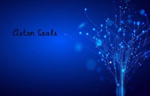 aston seals