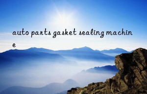 auto parts gasket sealing machine