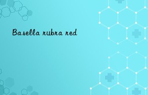 basella rubra red
