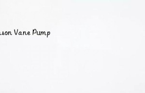 anson vane pump