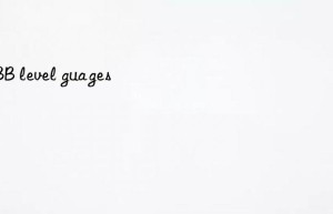 abb level guages