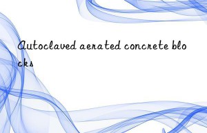 autoclaved aerated concrete blocks