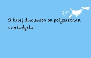 a brief discussion on polyurethane catalysts