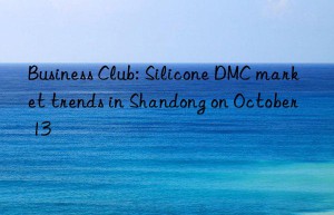 business club: silicone dmc market trends in shandong on october 13
