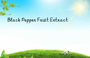 black pepper fruit extract