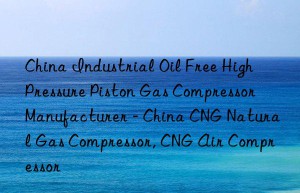 China Industrial Oil Free High Pressure Piston Gas Compressor Manufacturer – China CNG Natural Gas Compressor, CNG Air Compressor