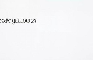 basic yellow 29