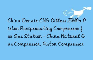 China Denair CNG Oilless 25MPa Piston Reciprocating Compressor for Gas Station – China Natural Gas Compressor, Piston Compressor
