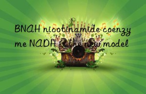 bnah nicotinamide coenzyme nadh is the new model