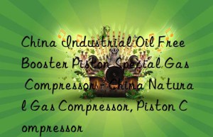 China Industrial Oil Free Booster Piston Special Gas Compressor – China Natural Gas Compressor, Piston Compressor