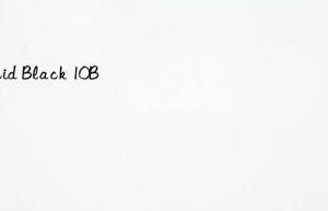 acid black 10b