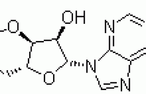 Adenosine 3′,5′-cyclic monophosphate