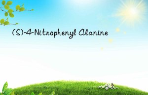(S)-4-Nitrophenyl Alanine