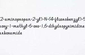 2-(2-aminopropan-2-yl)-N-(4-fluorobenzyl)-5-hydroxy-1-methyl-6-oxo-1,6-dihydropyrimidine-4-carboxamide