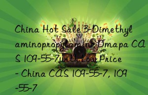 China Hot Sale 3-Dimethylaminopropylamine Dmapa CAS 109-55-7with Low Price – China CAS 109-55-7, 109-55-7