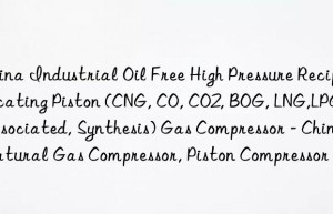 China Industrial Oil Free High Pressure Reciprocating Piston (CNG, CO, CO2, BOG, LNG,LPG, Associated, Synthesis) Gas Compressor – China Natural Gas Compressor, Piston Compressor