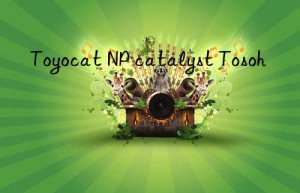 Toyocat NP catalyst Tosoh 