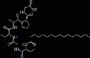 Lipopeptide, Palmitoyl Hexapeptide, 171263-26-6