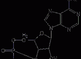 Adenosine-3',5'-cyclic phosphate structural formula