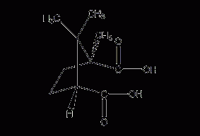 (+)-camphoric acid structural formula